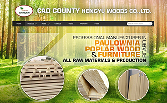 木业建材|深圳外贸网站建设